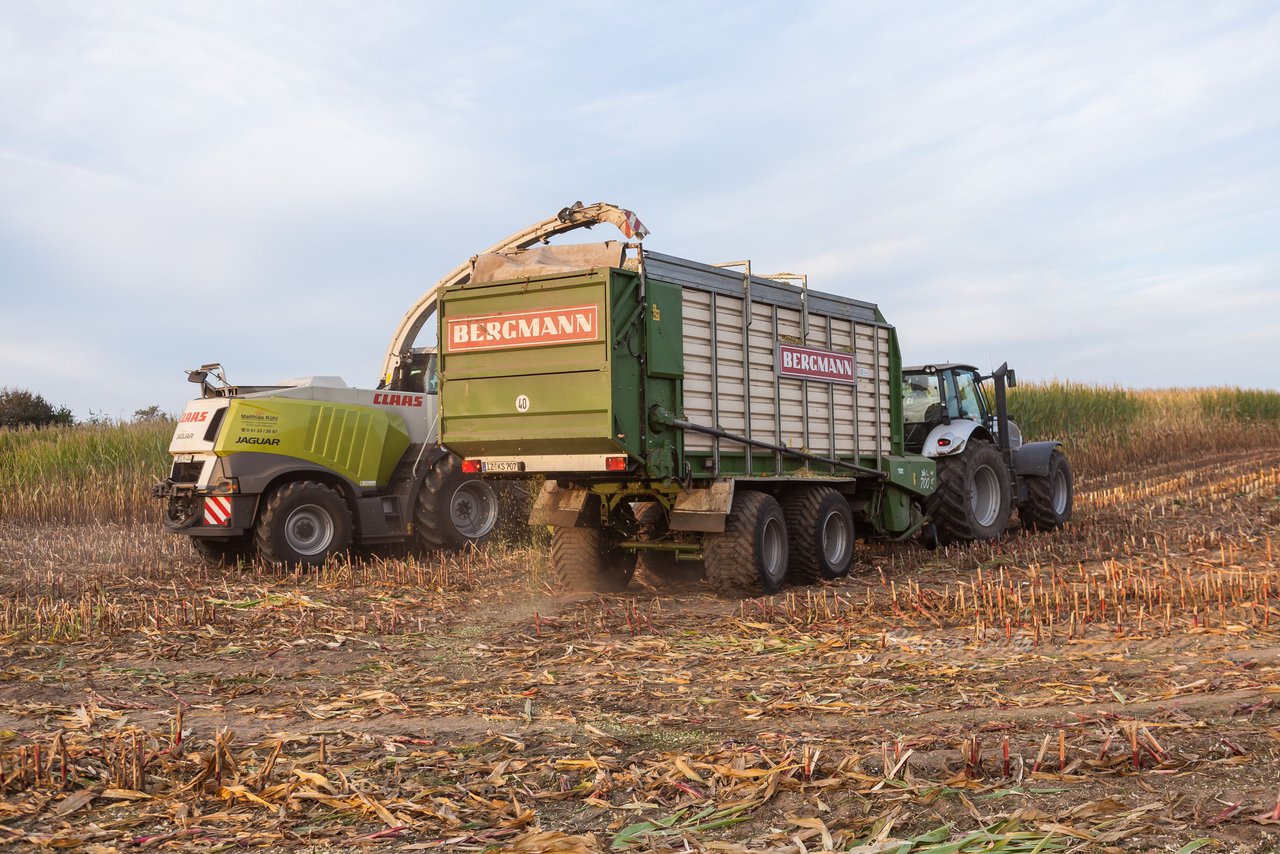 Bild 137 - Maisernte 2016